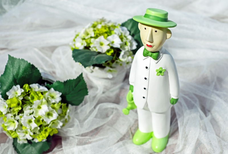 vitrine-BOUYON-min_man-person-flower-green-toy-fig-546529-pxhere.com